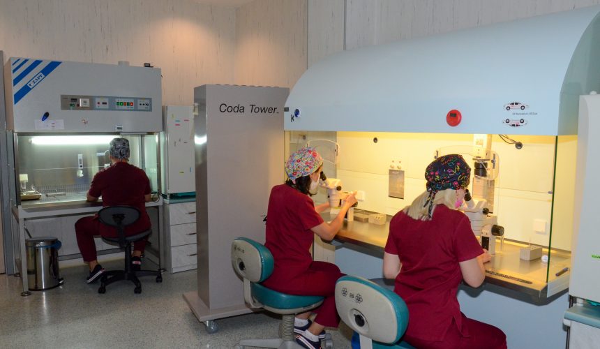 Tüp Bebeğin Tarihçesi