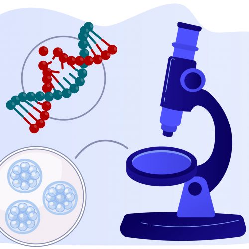 Preimplantasyon Genetik Tanı (PGT)