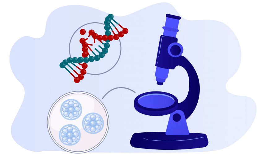 genetiktanı Preimplantasyon Genetik Tanı (PGT)