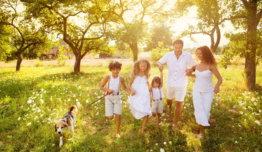 Üreme Nasıl Gerçekleşir Üreme Nasıl Gerçekleşir