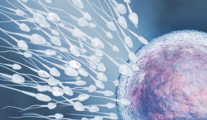 Döllenme ve Embriyo Gelişimi Döllenme ve Embriyo Gelişimi