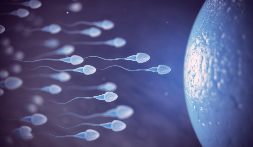İnfertilite (Kısırlık) Nedir?