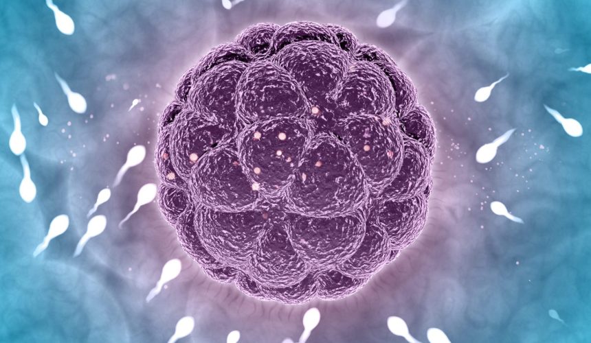 Non-Obstrüktif Azospermi Nedir, Nasıl Tedavi Edilir?