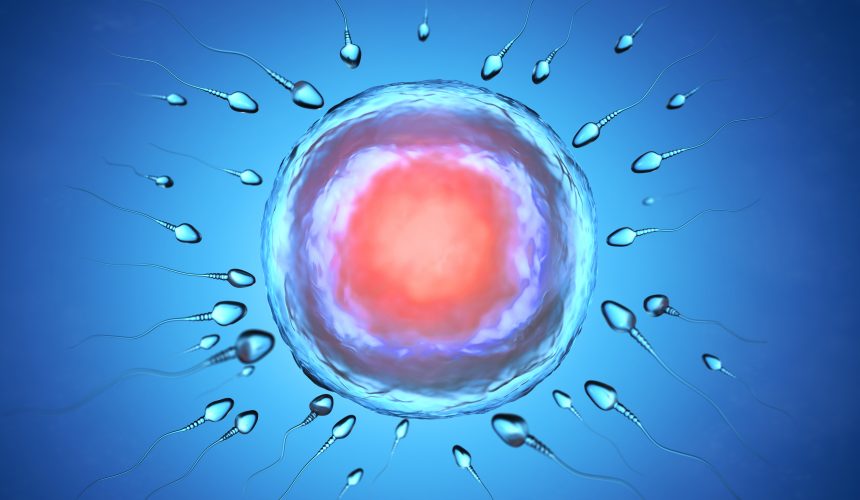 İnfertil Erkeklerde Değerlendirme Ne için ve Nasıl Yapılır?