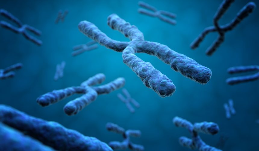 Erkeklerde İnfertiliteye Neden Olan Genetik Faktörler