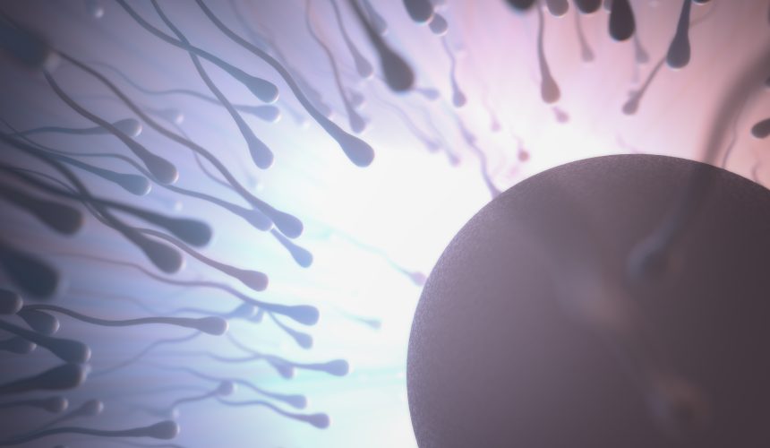 Sperm Analizi Nasıl Yapılır, Nasıl Değerlendirilir?