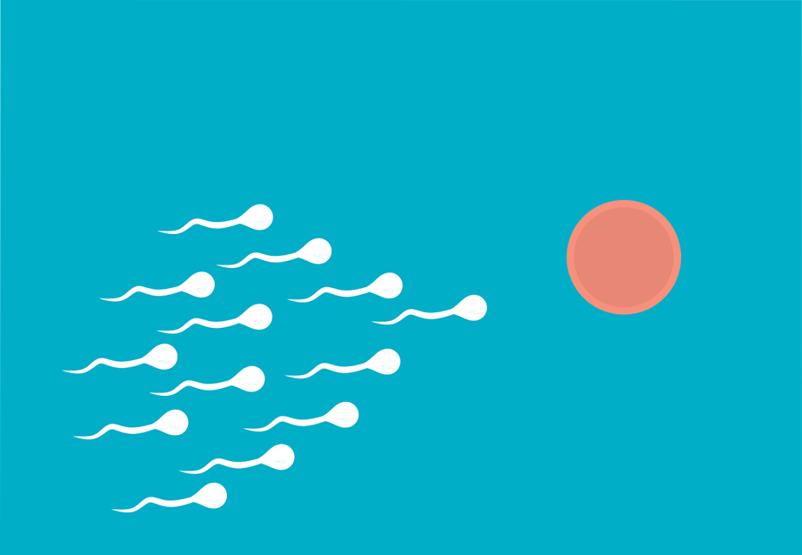 IMSI (İntrasitoplasmik Morfolojiye Göre Seçilmiş Sperm Enjeksiyonu)