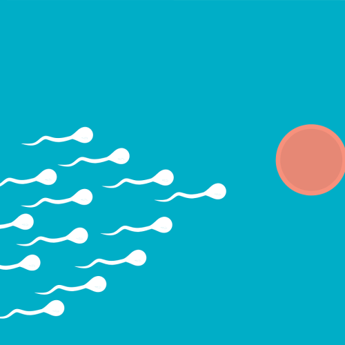 IMSI (İntrasitoplasmik Morfolojiye Göre Seçilmiş Sperm Enjeksiyonu)