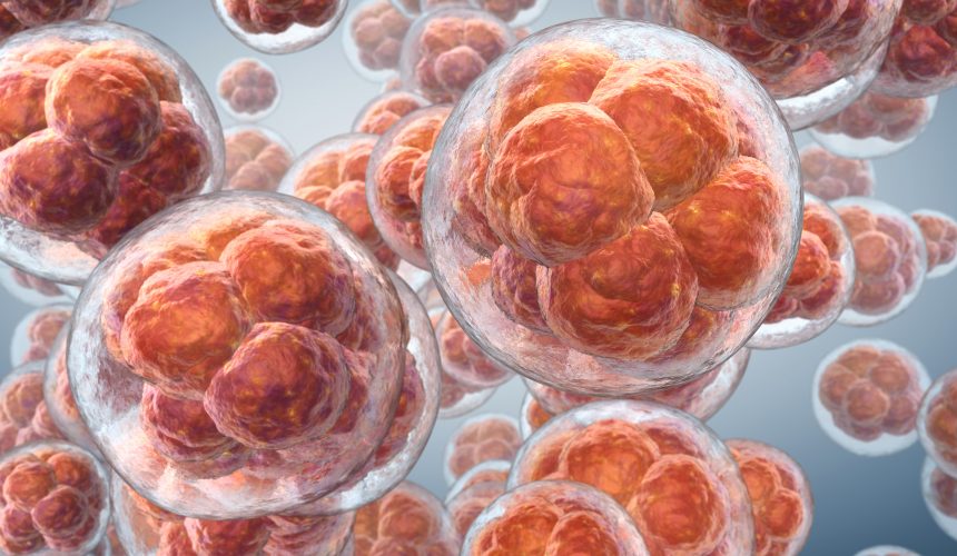 Tüp Bebekte Embriyo Transferi Aşaması