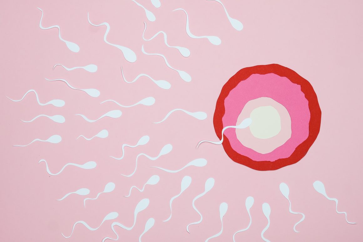 PICSI (Fizyolojik ICSI) PICSI (Fizyolojik ICSI)